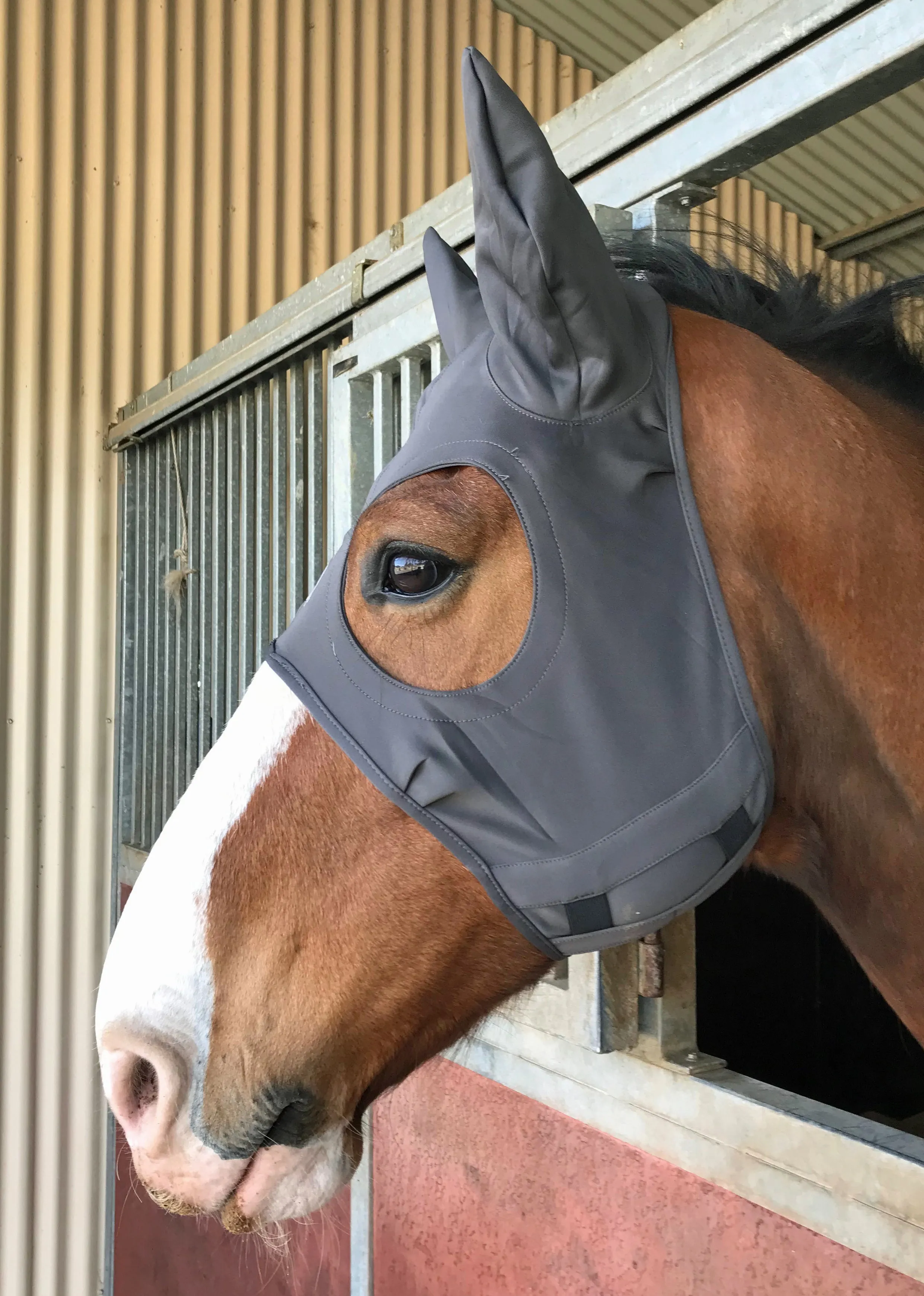 Fenwick Equestrian Liquid Titanium Far InfraRed Therapy Mask with ears