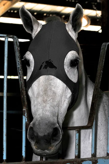 Fenwick Equestrian Liquid Titanium Far InfraRed Therapy Mask with ears